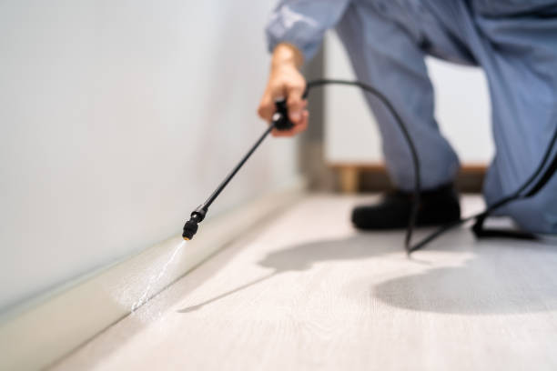 Licensed Fumigation Services service in Bell County County, KY - Nex Pest Control